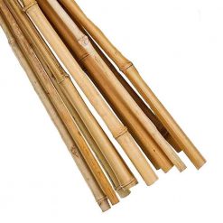 Bamboo Canes Sizes 4ft - 8ft - Image