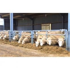 Bateman Calf/Sheep Feed Panel with Access Gate & eyes - Image