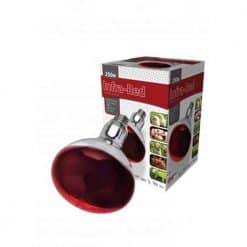 RED Infrared Bulb