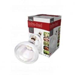 CLEAR Infrared Bulb