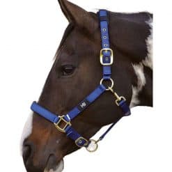 HY Deluxe Padded Head Collar - BRIGHT BLUE