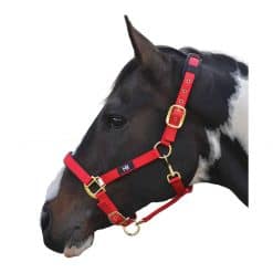 HY Deluxe Padded Head Collar - RED