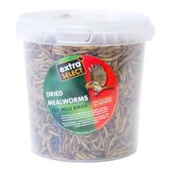 Extra Select Mealworms - Image