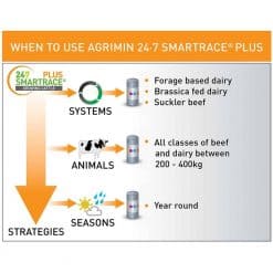 Agrimin 24/7 Plus Growing Cattle Bolus - Image