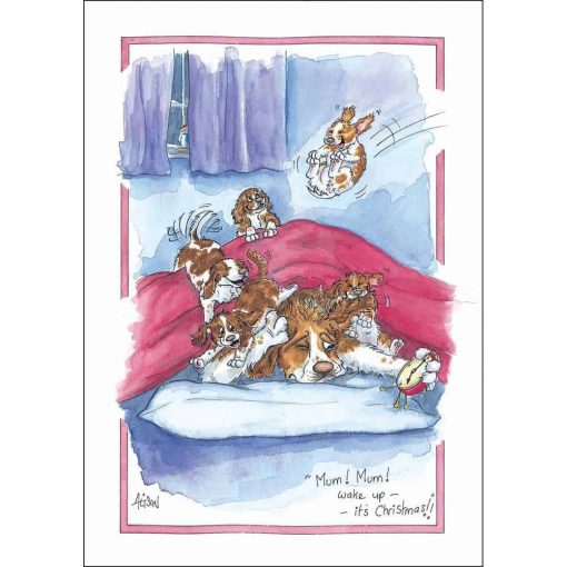 Alison's Animals Christmas Morning Card - Image