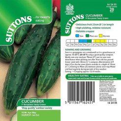 Suttons Cucumber Telegraph Improved - Image