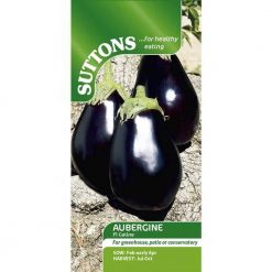 Suttons Aubergine Seeds - F1 Galine - Image