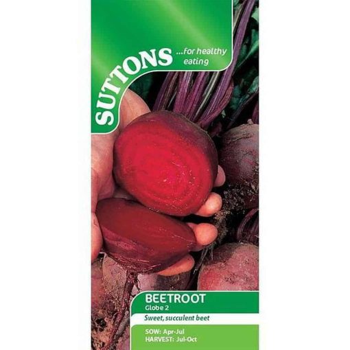 Suttons Beetroot Globe 2 - Image