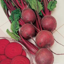 Suttons Beetroot Pablo F1 - Image