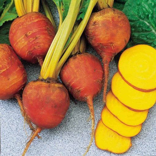 Suttons Beetroot Seeds - Burpees Golden - Image