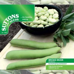 Suttons Broad Bean De Monica - Image