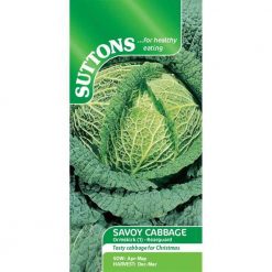 Suttons Cabbage (Savoy) Seeds - Ormskirk (1) Rearguard - Image