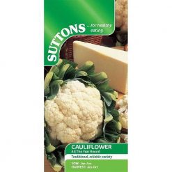 Suttons Cauliflower All The Year Round - Image