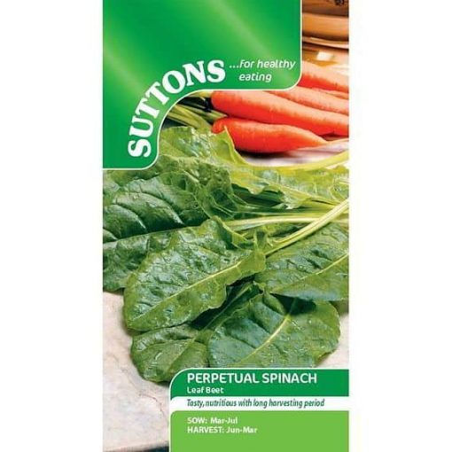 Suttons Perpetual Spinach Leaf Beet - Image