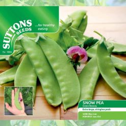 Suttons Snow Pea Seeds - Green Beauty - Image
