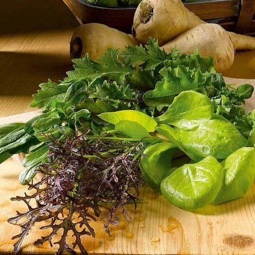 Suttons Speedy Veg Leaf Salad Wint Mix - Image