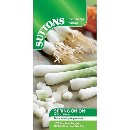 Suttons Spring Onion White Lisbon - Image