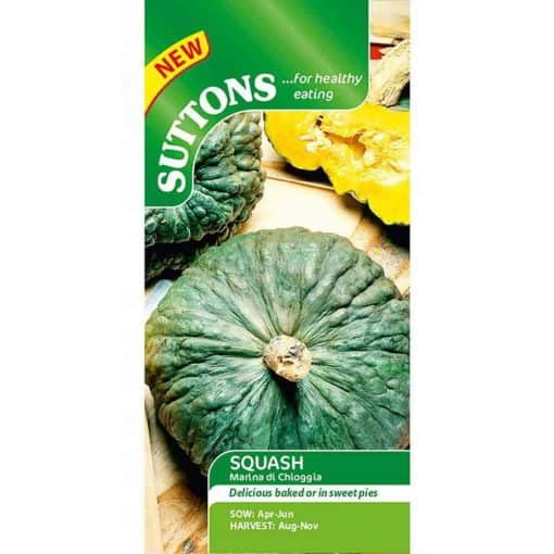 Suttons Squash Seeds - Marina di Chioggia - Image