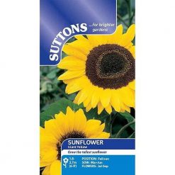 Suttons Sunflower Giant Yellow - Image