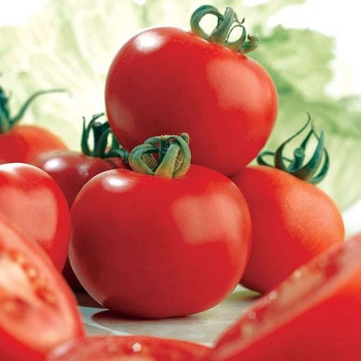 Suttons Tomato Ailsa Craig - Image