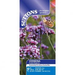 Suttons Verbena bonariensis Seeds - Purple Elegance - Image