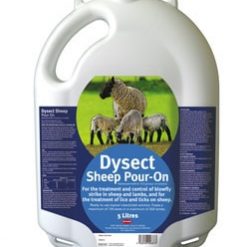 Zoetis Dysect Sheep Pour On 5L - Image