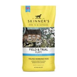 Skinners Field & Trial Puppy - Image