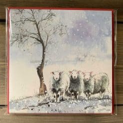 Alex Clark Winter Flock Sheep Christmas Pack - Image