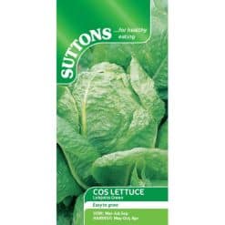 Suttons Lettuce Seeds - Lobjoits Green - Image