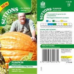 Suttons Pumpkin Seeds - Atlantic Giant - Image