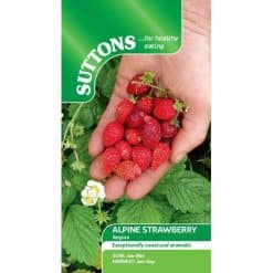 Suttons Strawberry Seeds - Regina - Image