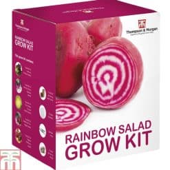 Thompson & Morgan Rainbow Salad Growing Kit - Image