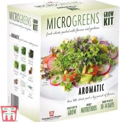 Thompson & Morgan Seed Grow Kit Microgreens Aromatic - Image
