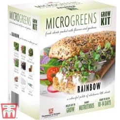 Thompson & Morgan Seed Grow Kit Microgreens Rainbow - Image