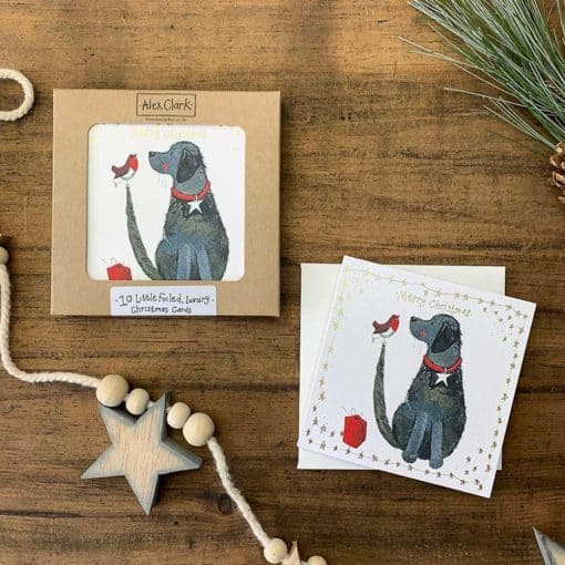Alex Clark Dog and Robin Little Boxed Foiled Cards - Image