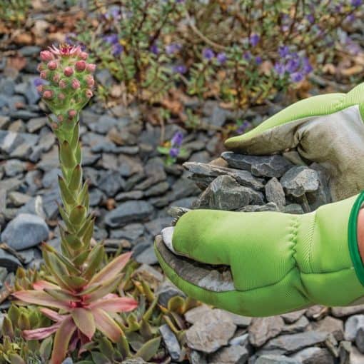 Draper Medium Duty Gardening Gloves, Medium - Image