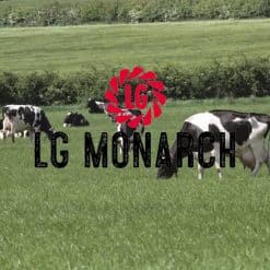 Monarch Intensive Grazing Grass Seed 13KG - Image
