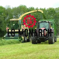 Monarch Silage & Grazing Grass Seed 13KG - Image