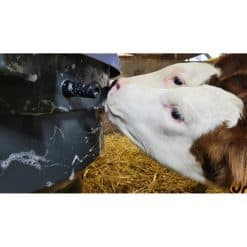 Milk Bar - 4 Teat Calf Feeder + Ezi-Lock Hooks - Image
