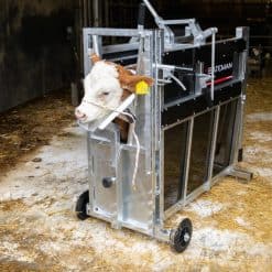 Bateman Premium Calf Dehorning Crate - Image