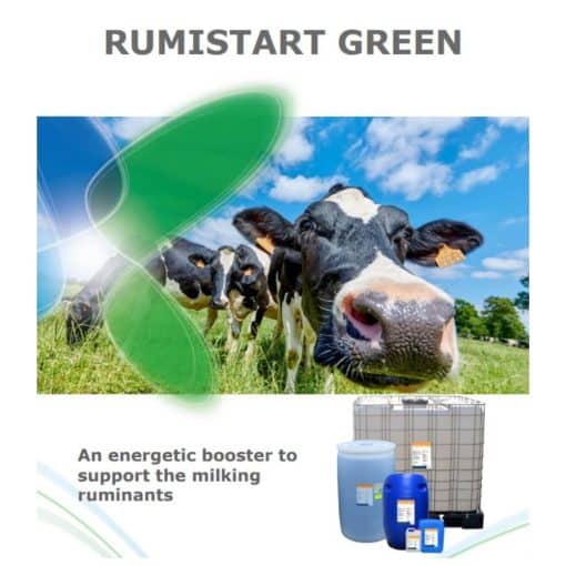 Rumistart Green - Rumistart Green