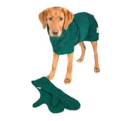 Ruff & Tumble Dog Drying Mitts - Forest