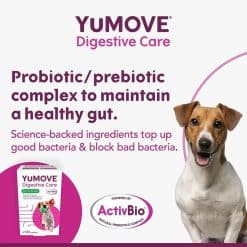 YuMove Digestive Care Active - 120 Tablets - Image